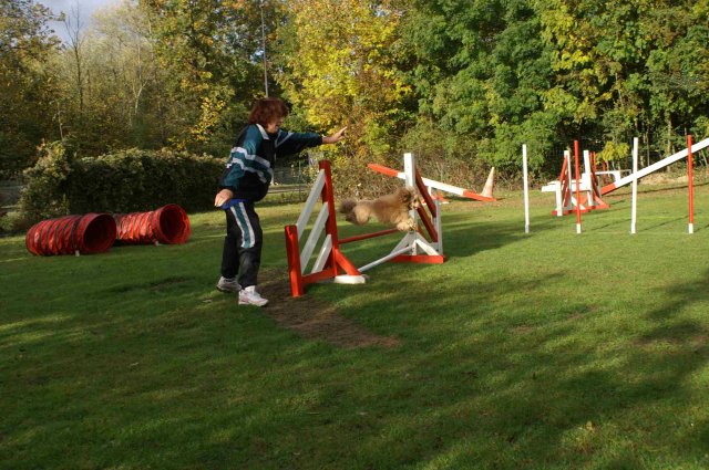 agility 2011-10-30